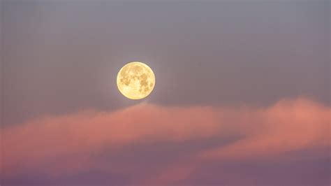 Vollmond Juli 2022: Was du über diesen Supermond wissen musst.